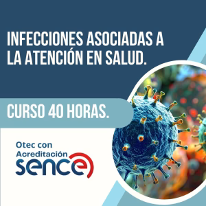 Infecciones Asociadas a la Atención en Salud 40 hrs